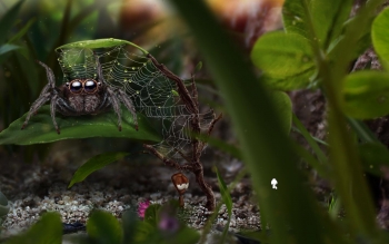 AntVentor Screenshot AntVentor Screenshot